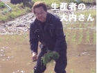 ヨシ腐葉土米　食べくらべセット 2kg×2 【R3年度米】 (2)