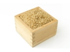 ファストザイム米　(玄米)　5kg 【R5年度米】 (2)